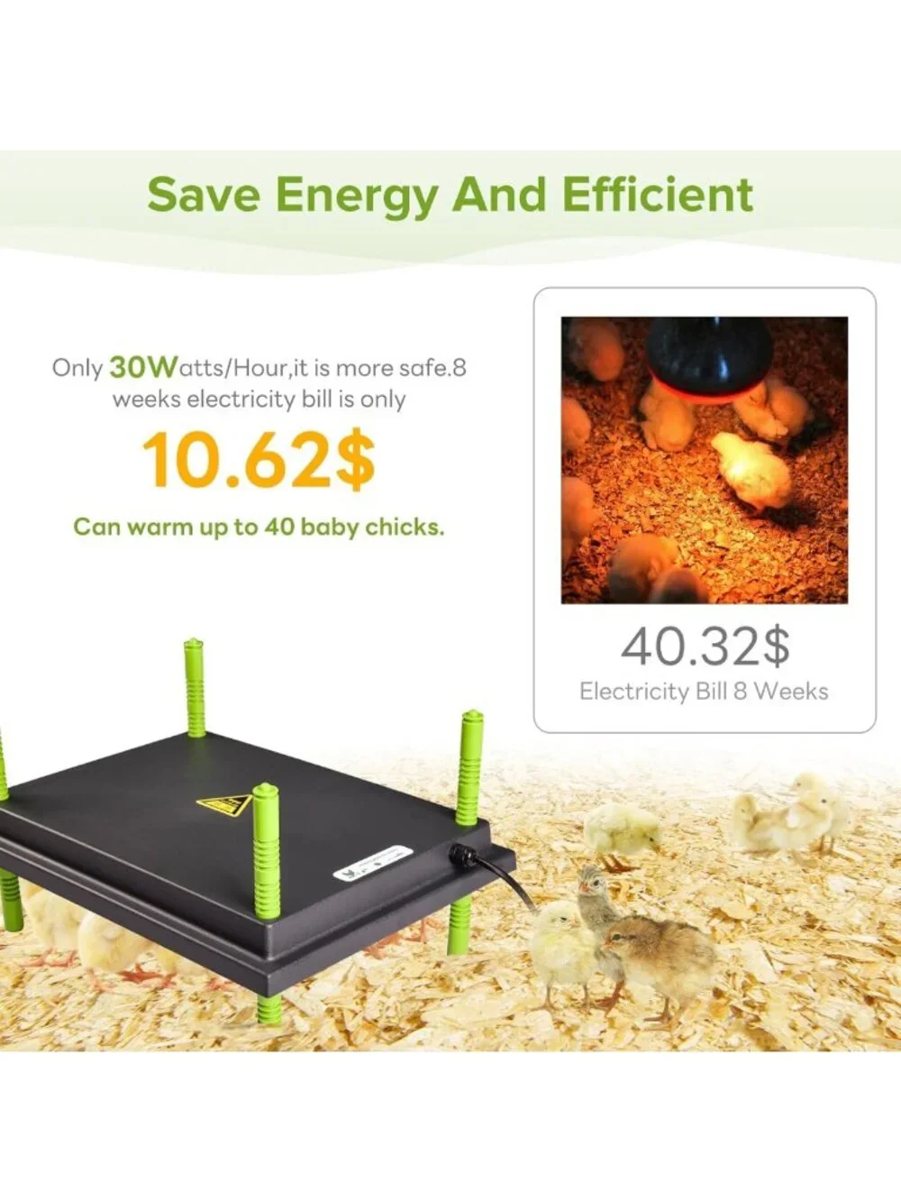 Chick Heating Plate 12x16” - Warm Up to 40 Chicks, Ideal for Brooding & Comfort